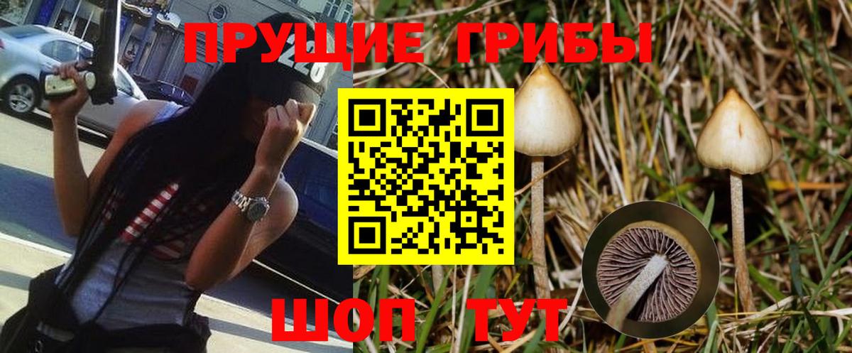 Кузнецк  продажа наркотиков  Вход с VPN  Галлюциногенные грибы мицелий 