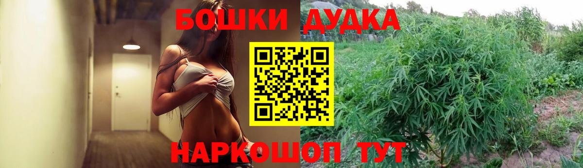 Конопля план Кузнецк